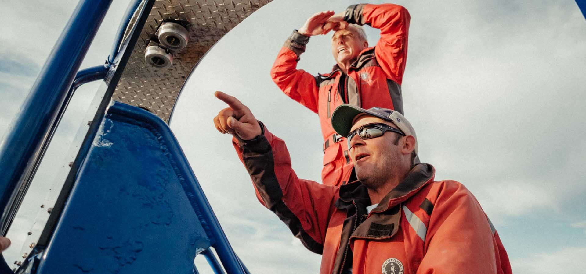 newfoundland-whale-watch