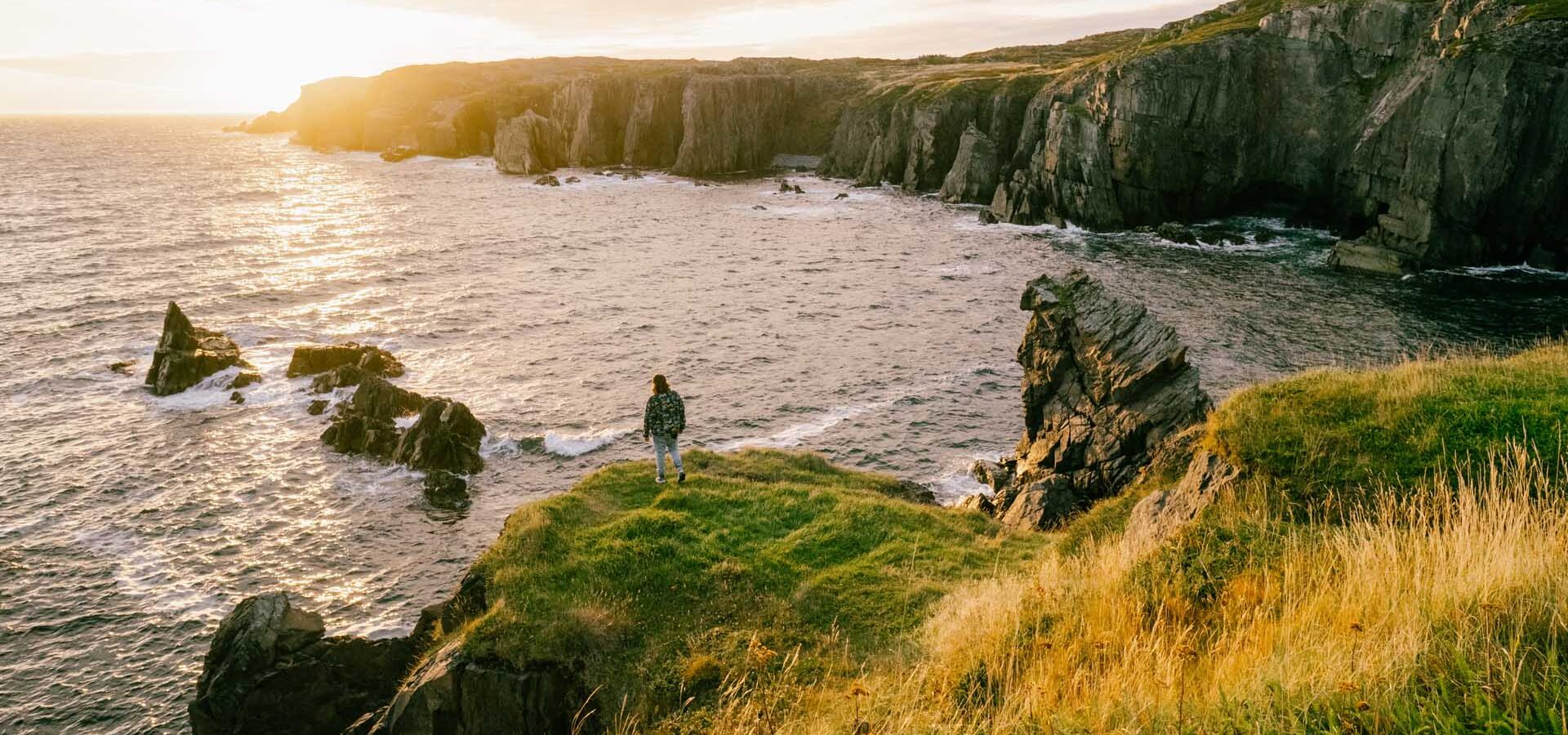 newfoundland-coastline