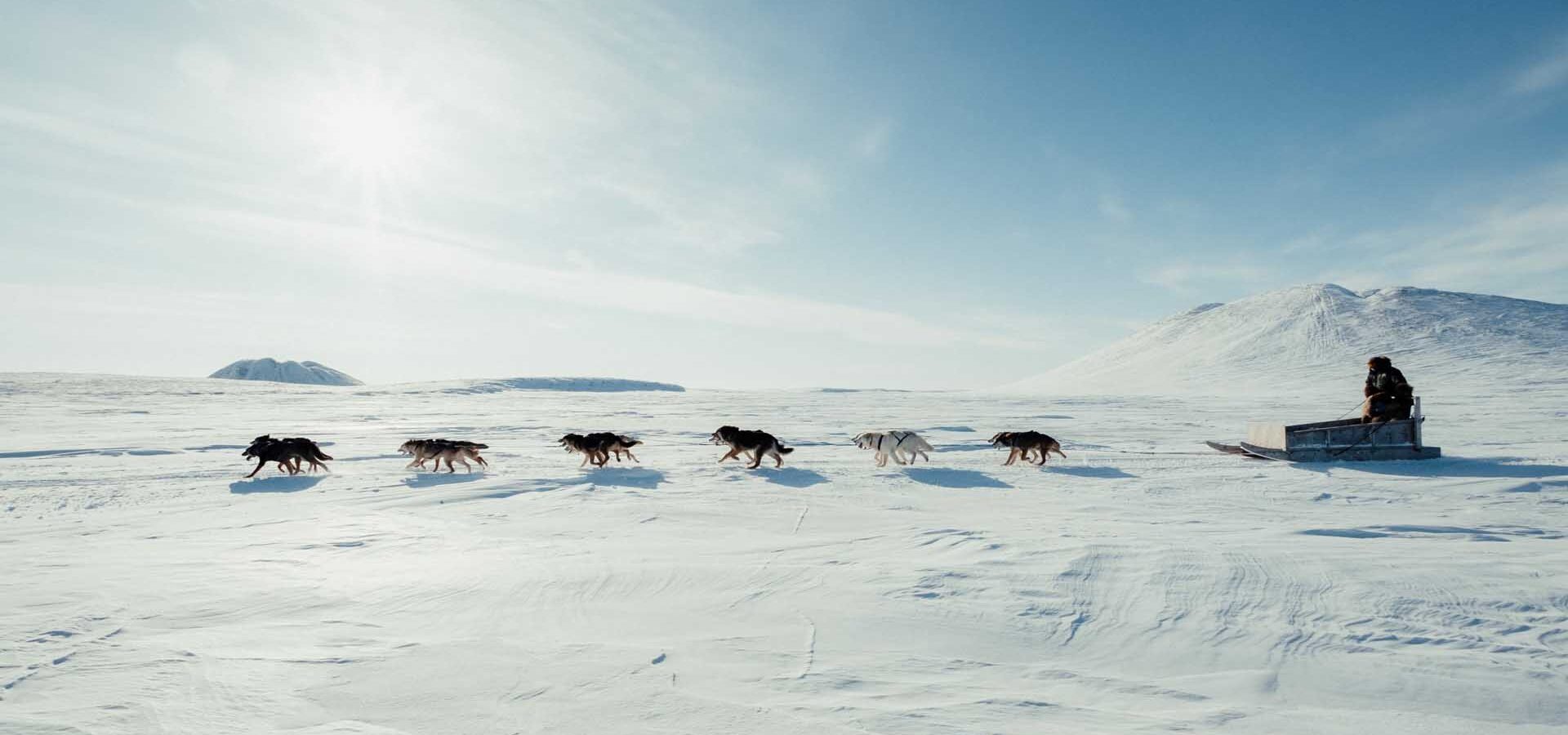 dog-sledding-NWT