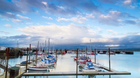 Digby Harbour