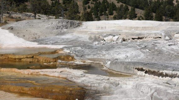 Mammoth Hot Springs