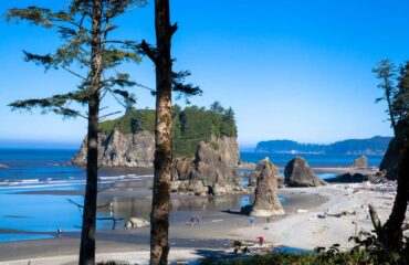 Olympic Peninsula Beach