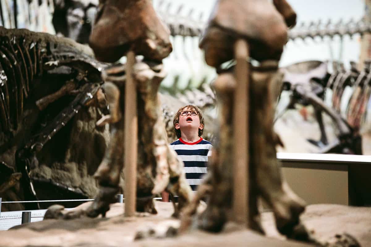 boy-looking-royal-tyrrell-museum