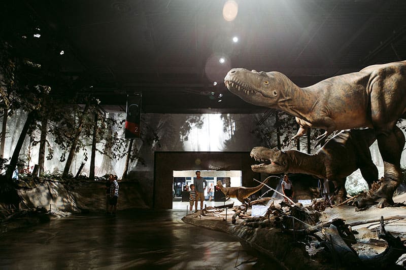 man-and-boy-in-royal-tyrrell