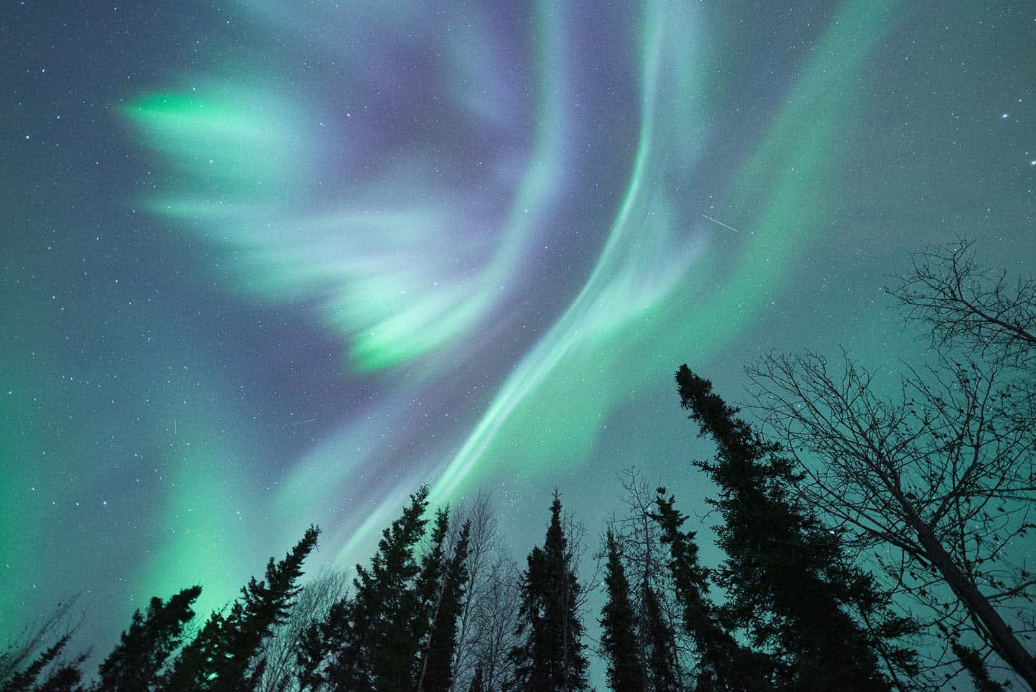 aurora-fairbanks-alaska