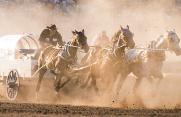 Wagon Race