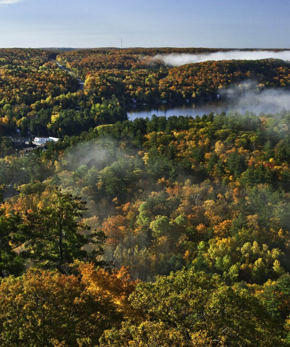 Algonquin Provincial Park