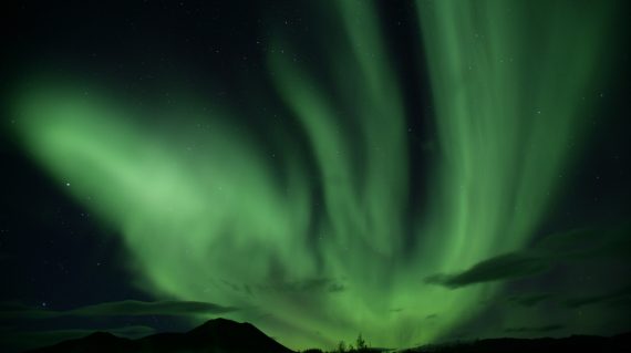 Aurora_B55-06-8dp