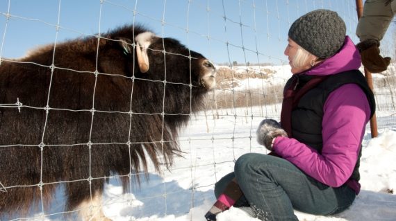 Yukon Wildlife Preserve