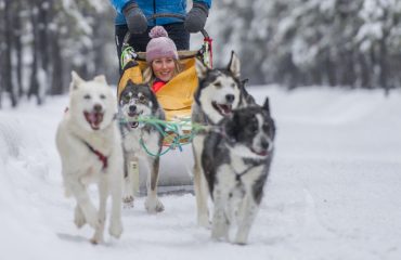 Annie Lake_Dogsled