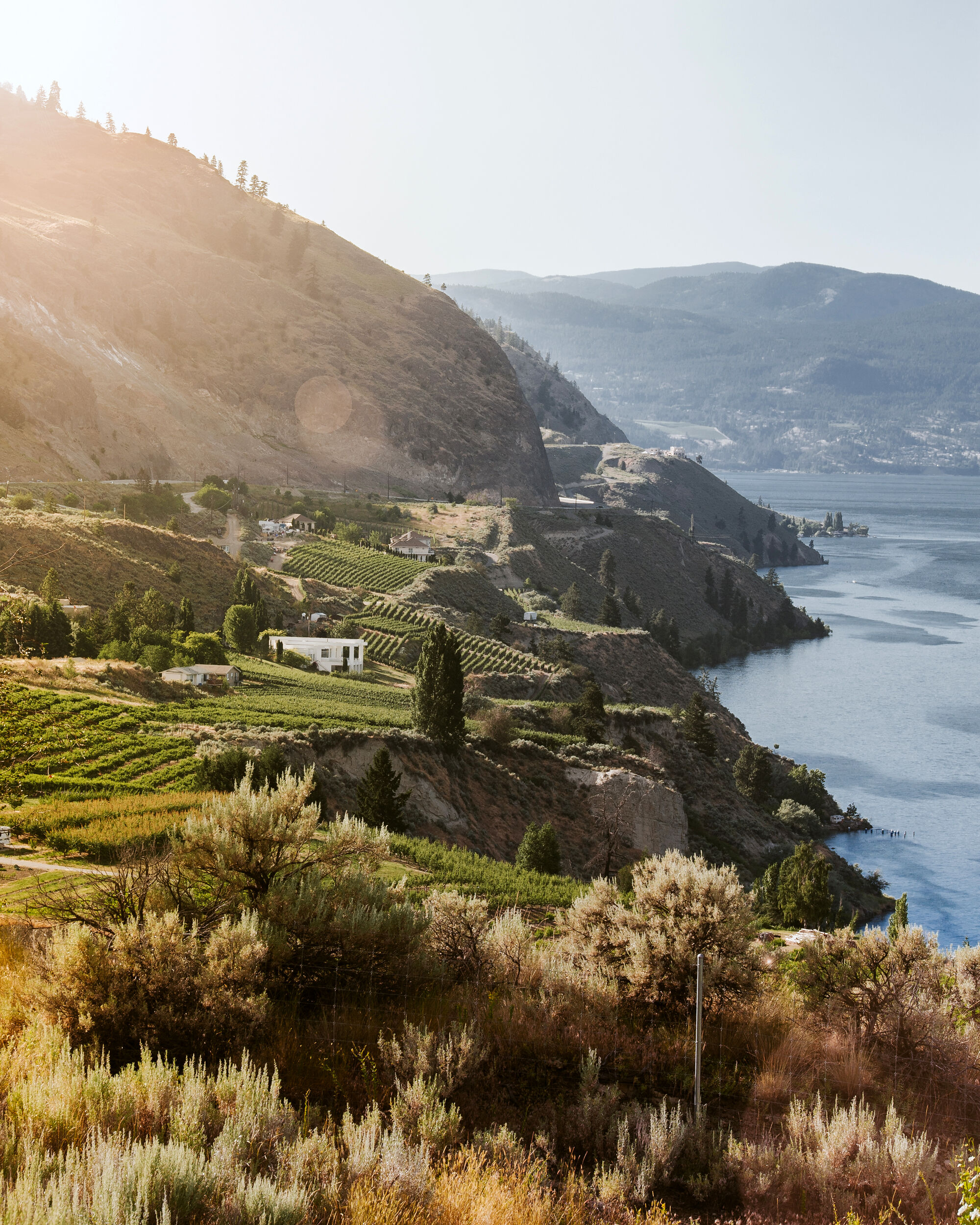 Vineyards along Okanagan Lake from Sage Hills Estate Winery and Vineyards in Summerland