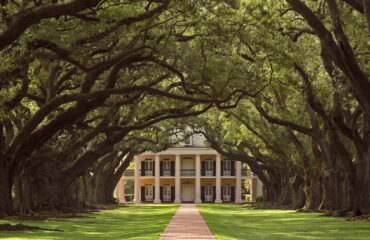 Oak Alley Plantation