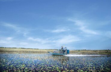 Airboat ride Everglades Tigertail