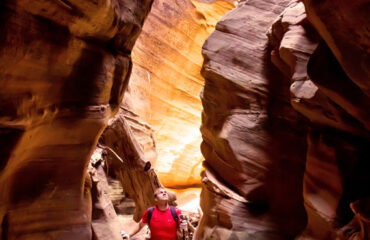 Canyon in Zion National Park