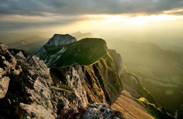 Lucerne Tomlishorn