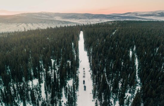 alaska-dog-sledding