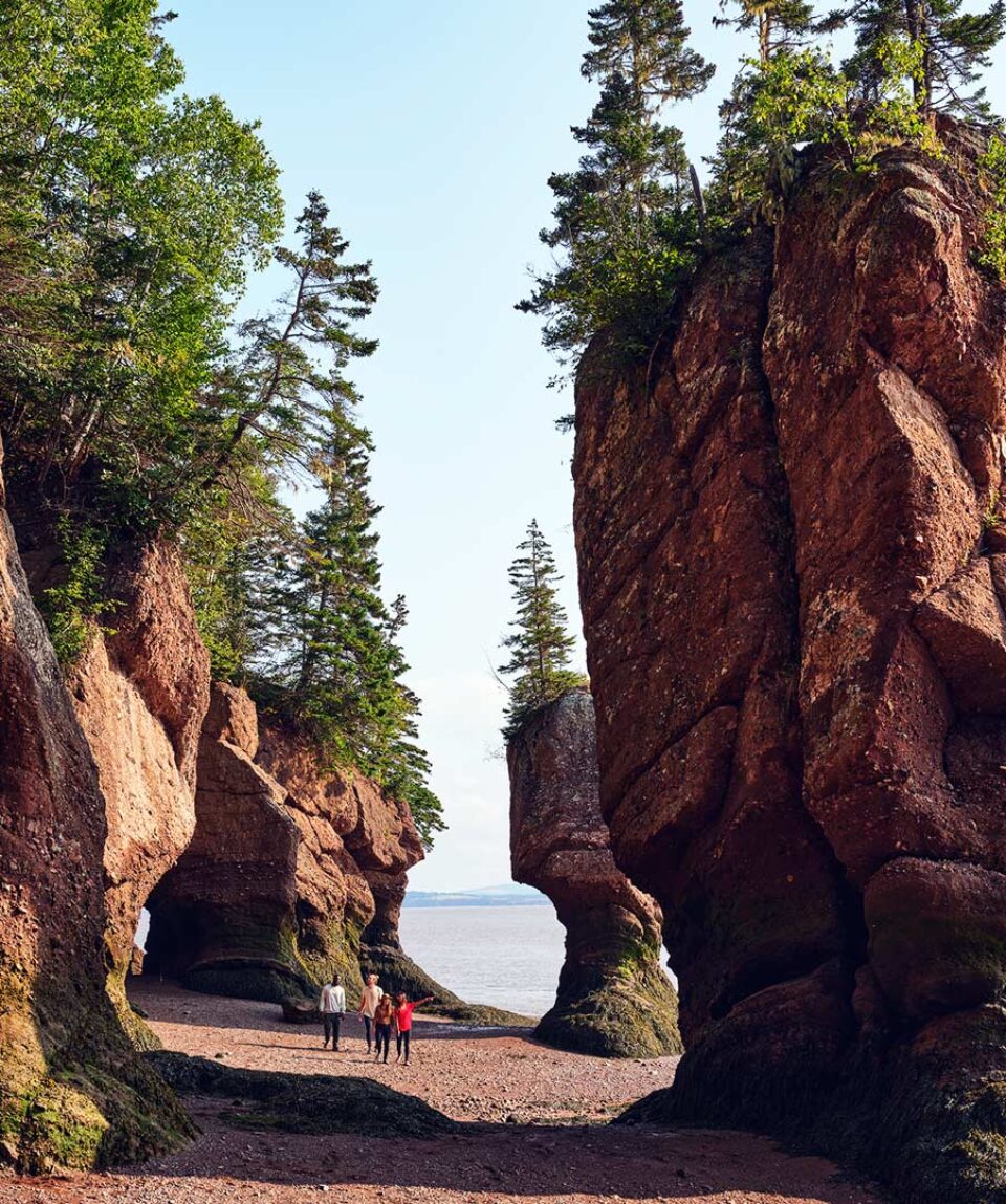 Hopewell Rocks National Park