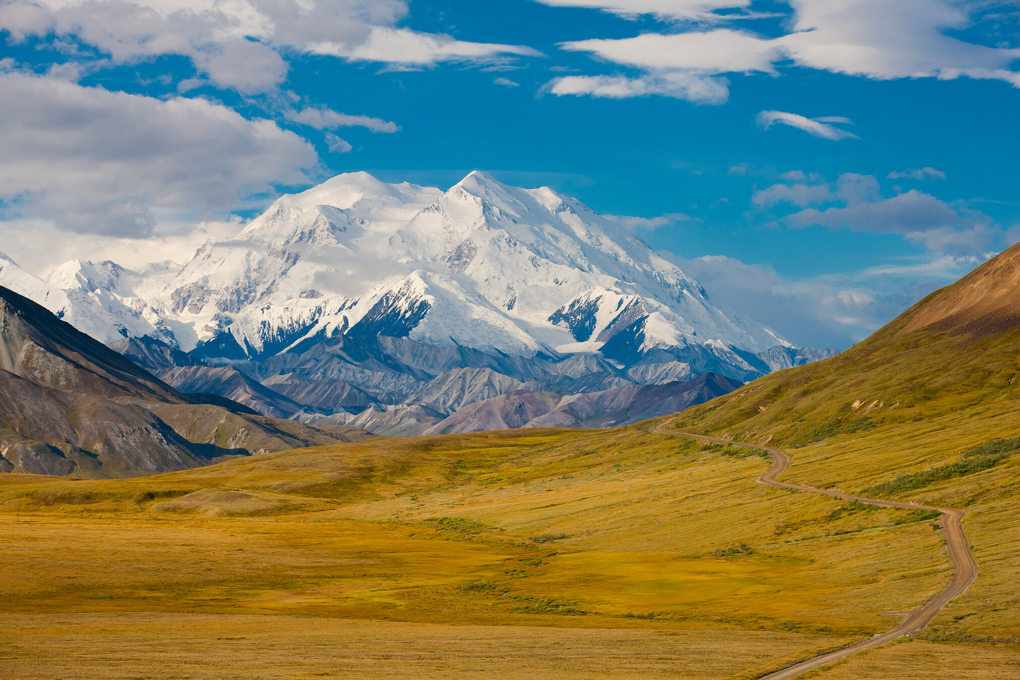 denali-national-park