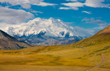 Alaska - Denali National Park