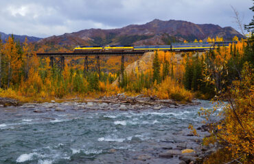 Alaska Rail travelling toward Denali