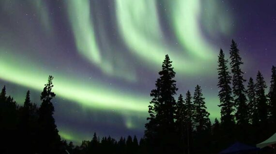 South Slave Pine Lake Aurora