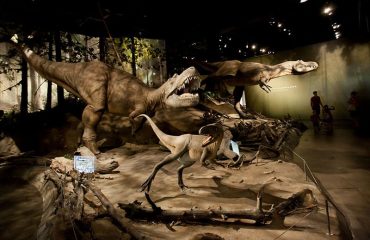 Dinosaur exhibit in Royal Tyrell Museum